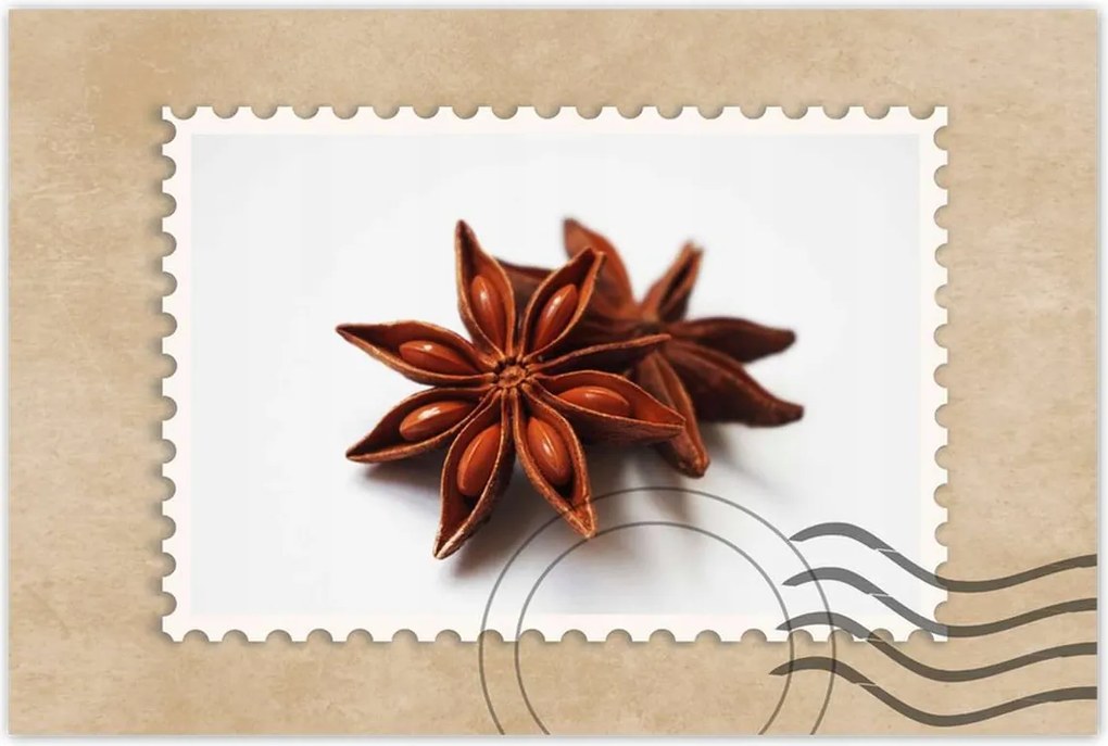 Poszterek 90x60 Ánizs csillag Ánizs