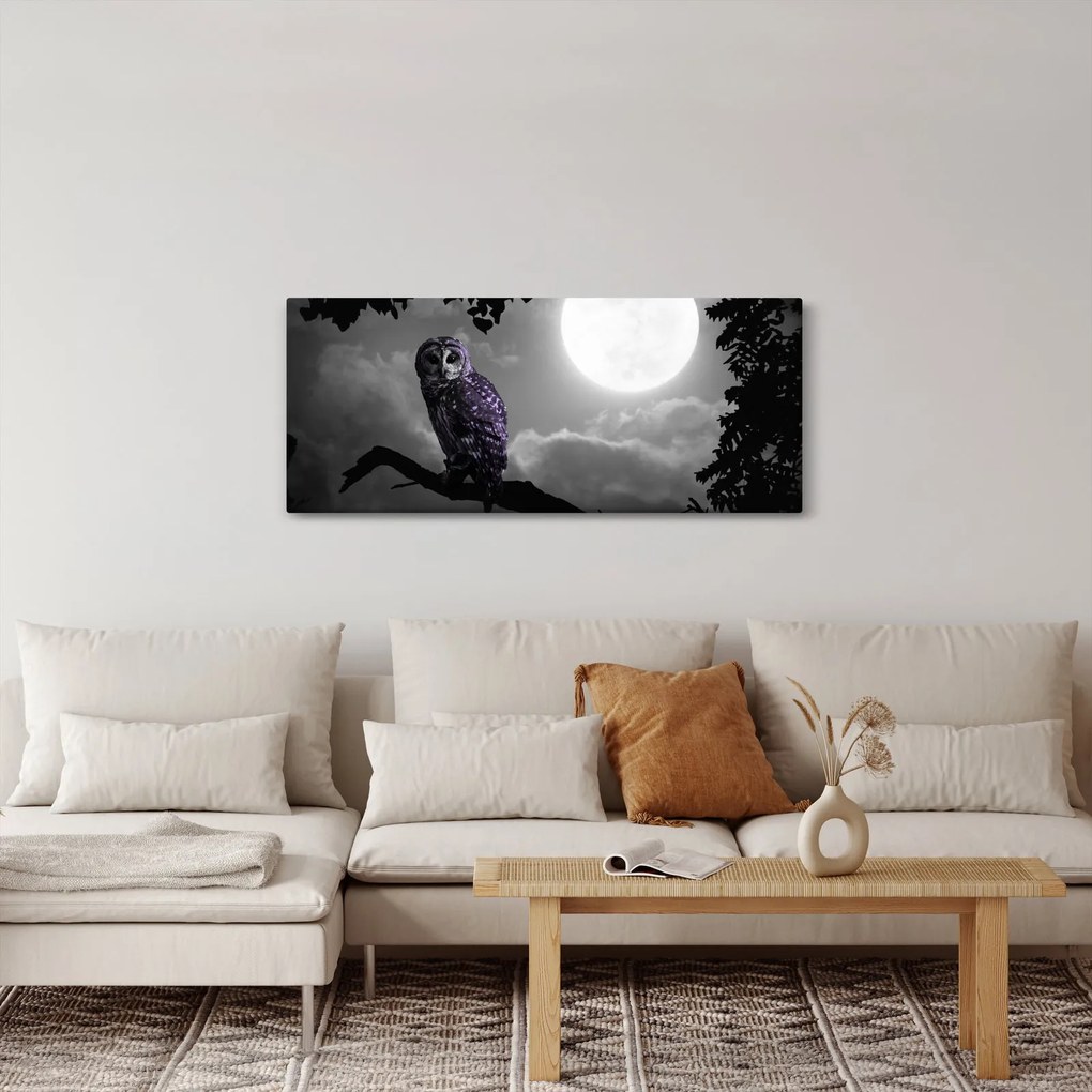 Kép - Éjjeli bagoly, lila bagoly (120x50 cm)