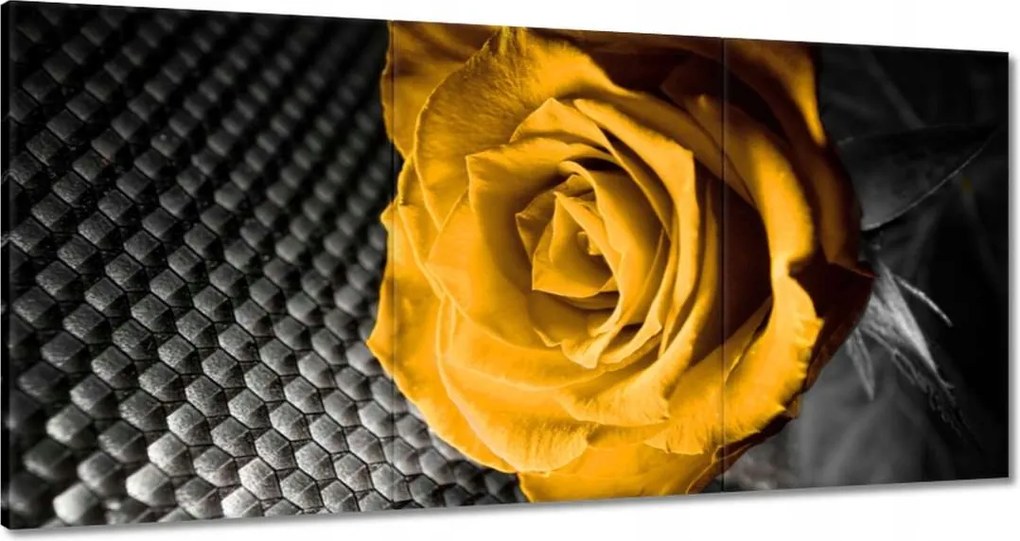 Vászonkép 180x90 Sárga rózsa