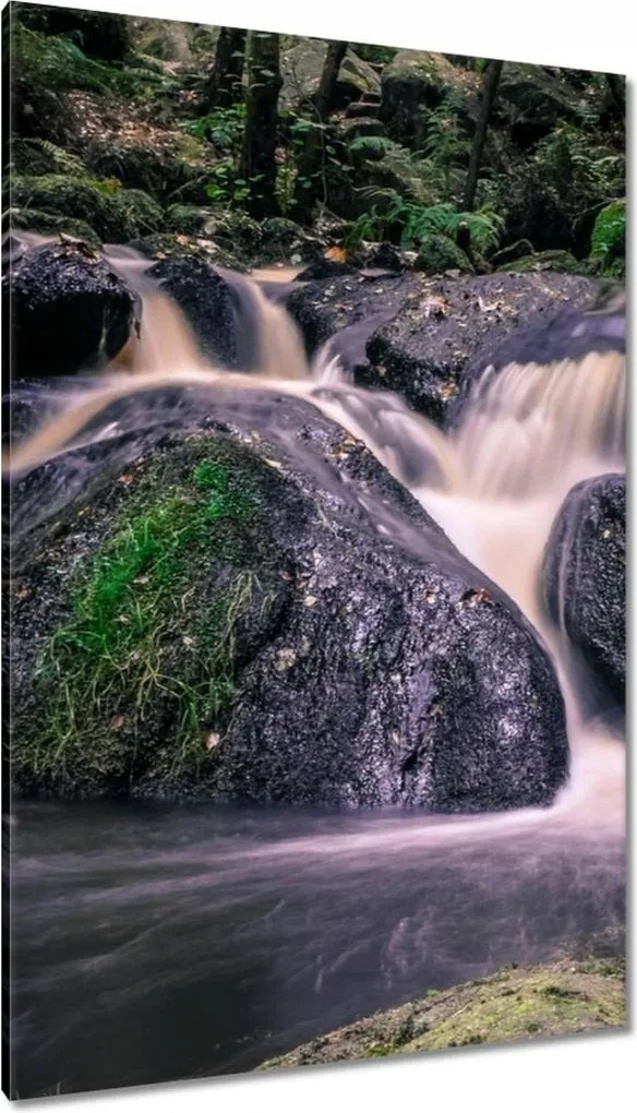 Vászonkép 80x120 Folyó víz a patakban