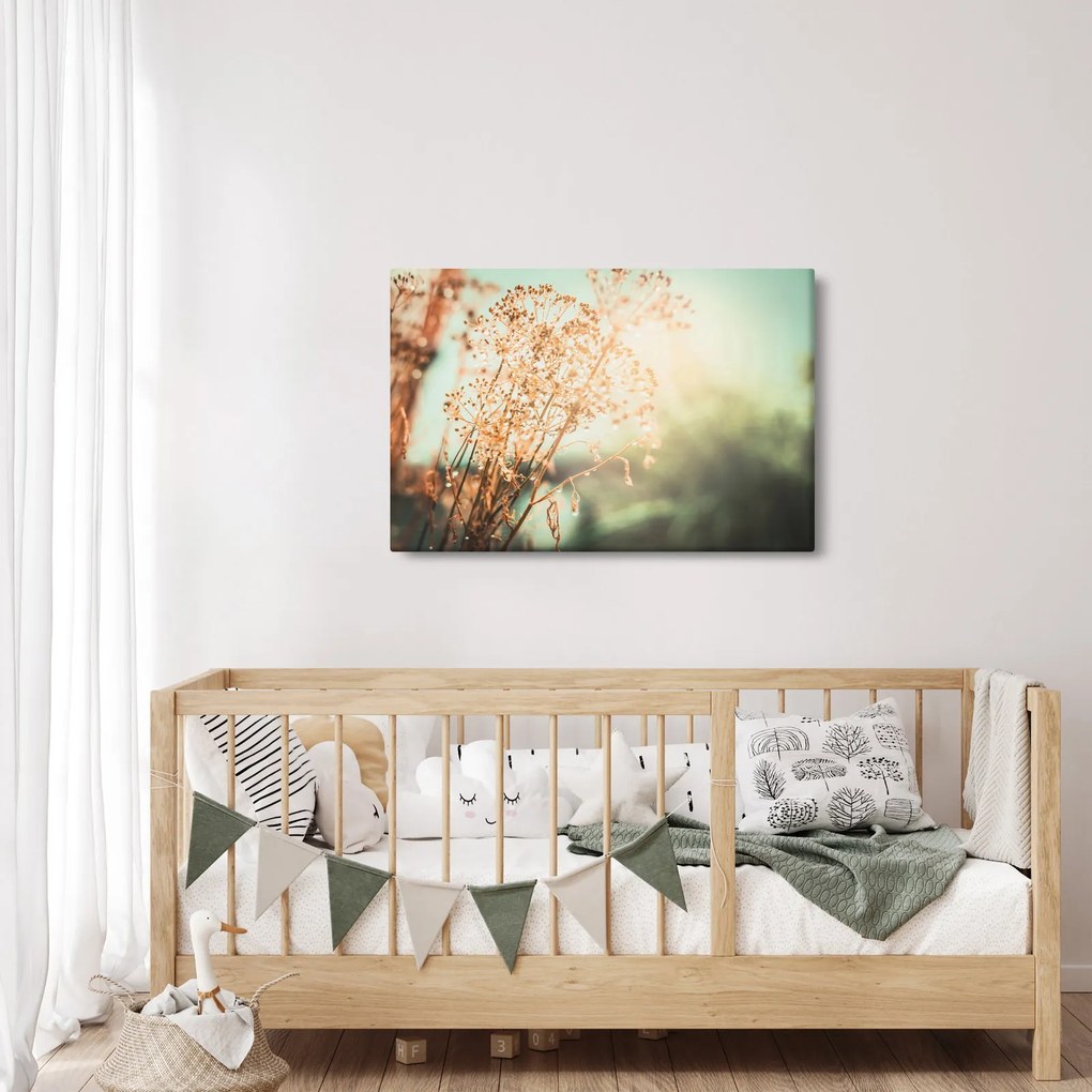 Kép - Réti növények (90x60 cm)