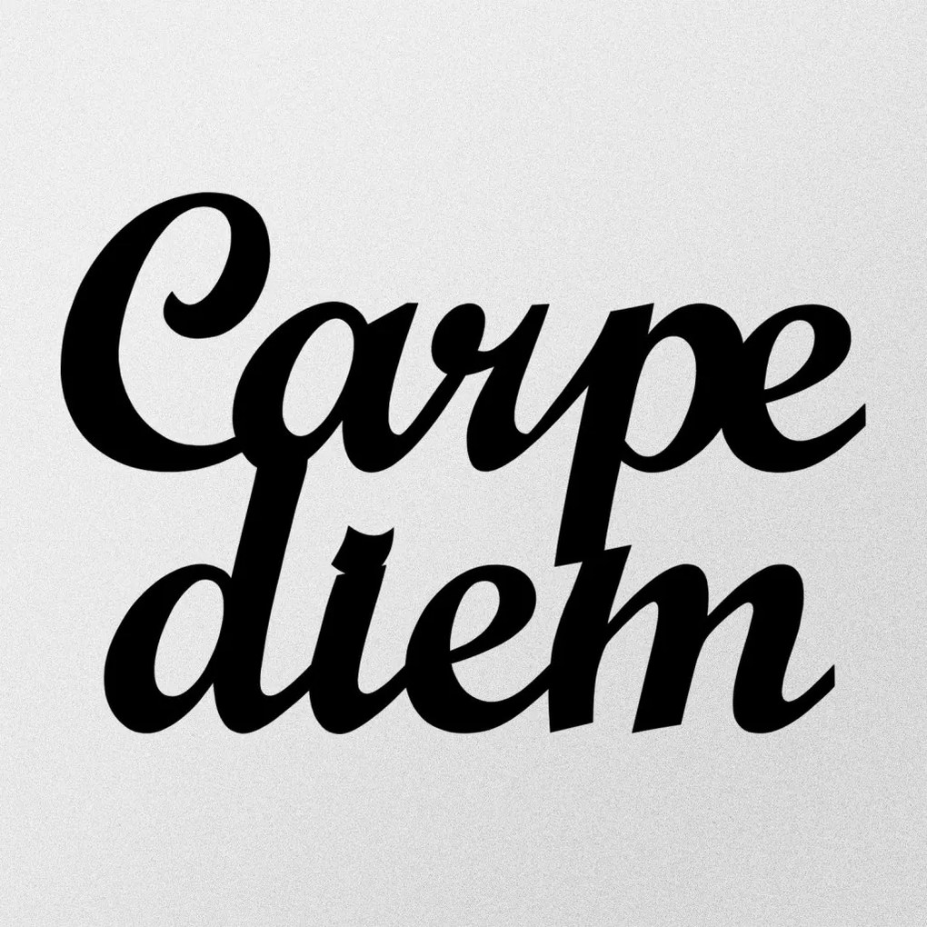 Carpediem fém fali dekoráció, 50×38 cm