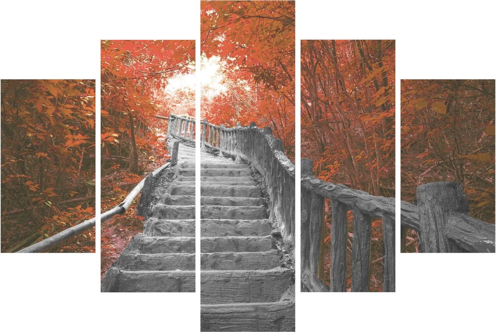 Kép - Lépcsők a természetben, narancssárga (150x105 cm)