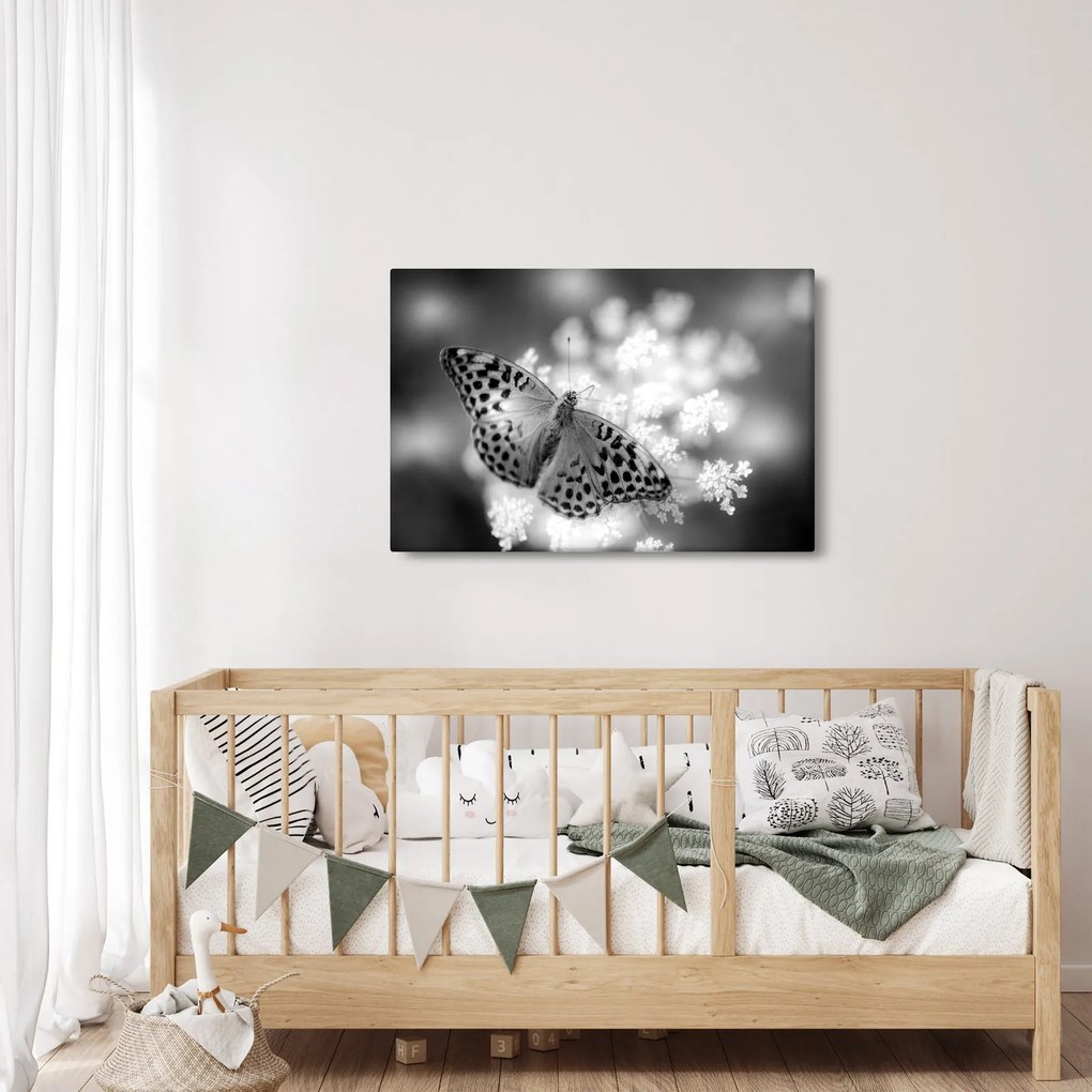 Kép - Részlet egy virágot beporzó pillangóról (90x60 cm)