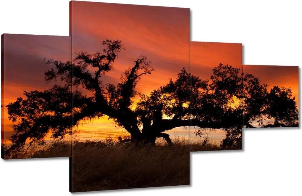 Festmények 130x80 Akác Afrikában