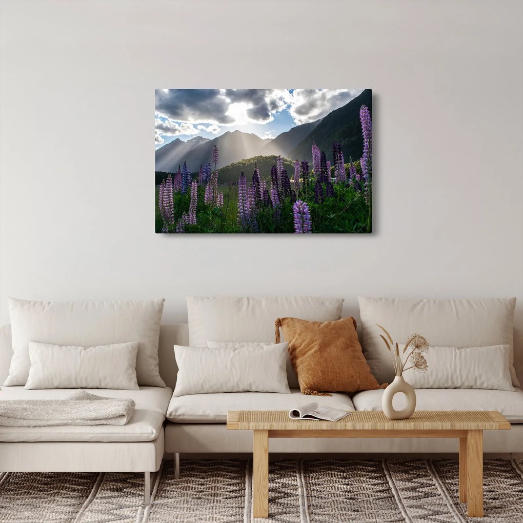 Kép - Csillagfürt táj (90x60 cm)
