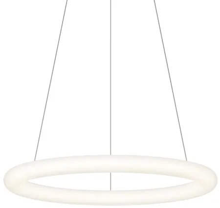 Top Light - LED dimmelhető kábeles csillár RINGO LED/40W/230V 3000-6500K fehér + távirányító