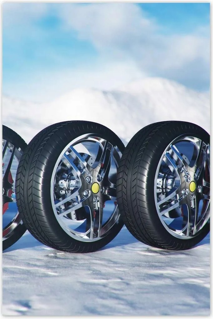 Poszterek 60x90 Nyári gumiabroncsok a hóban