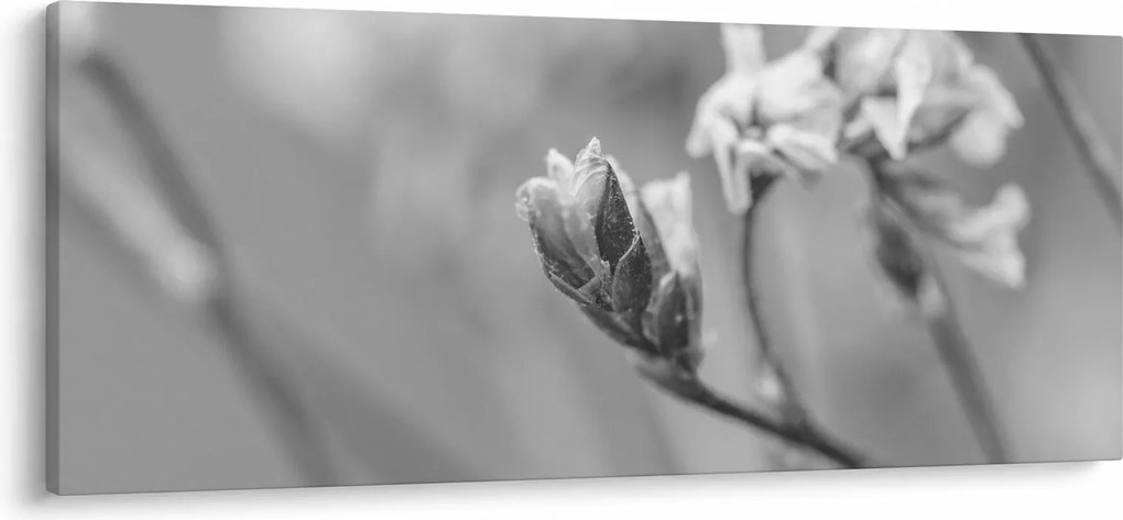 Kép - Virágzó virág (120x50 cm)