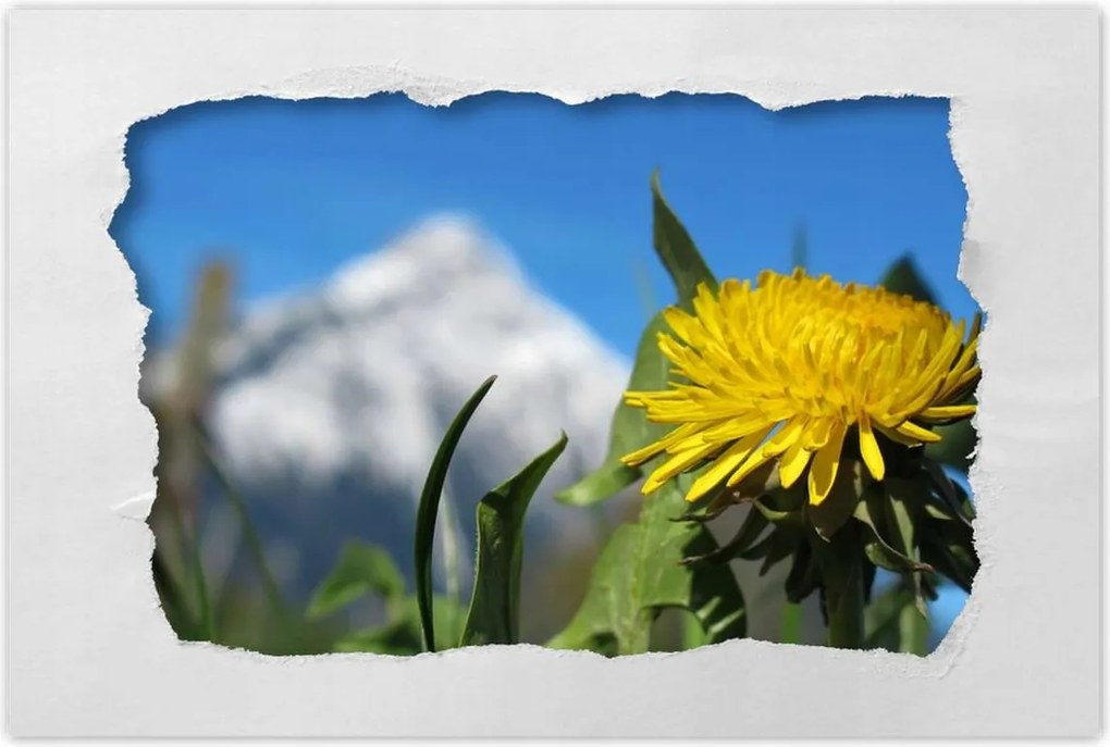 Poszterek 60x40 Alpesi tej