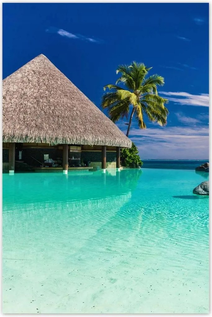 Poszterek 60x90 Trópusok Tájkép Pálmafák