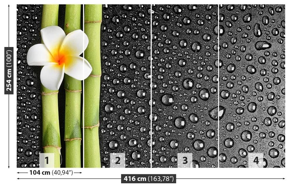 Fotótapéta frangipani virág 104x70 cm