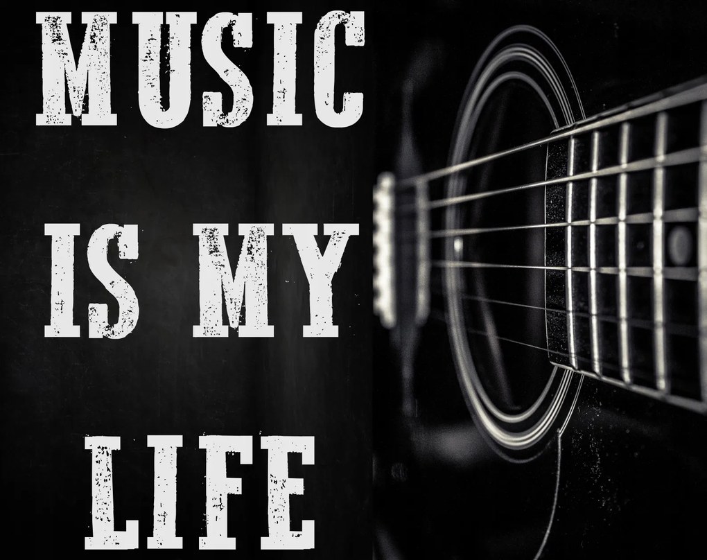 Fém poszter Ajándék zenészeknek Music is my Life