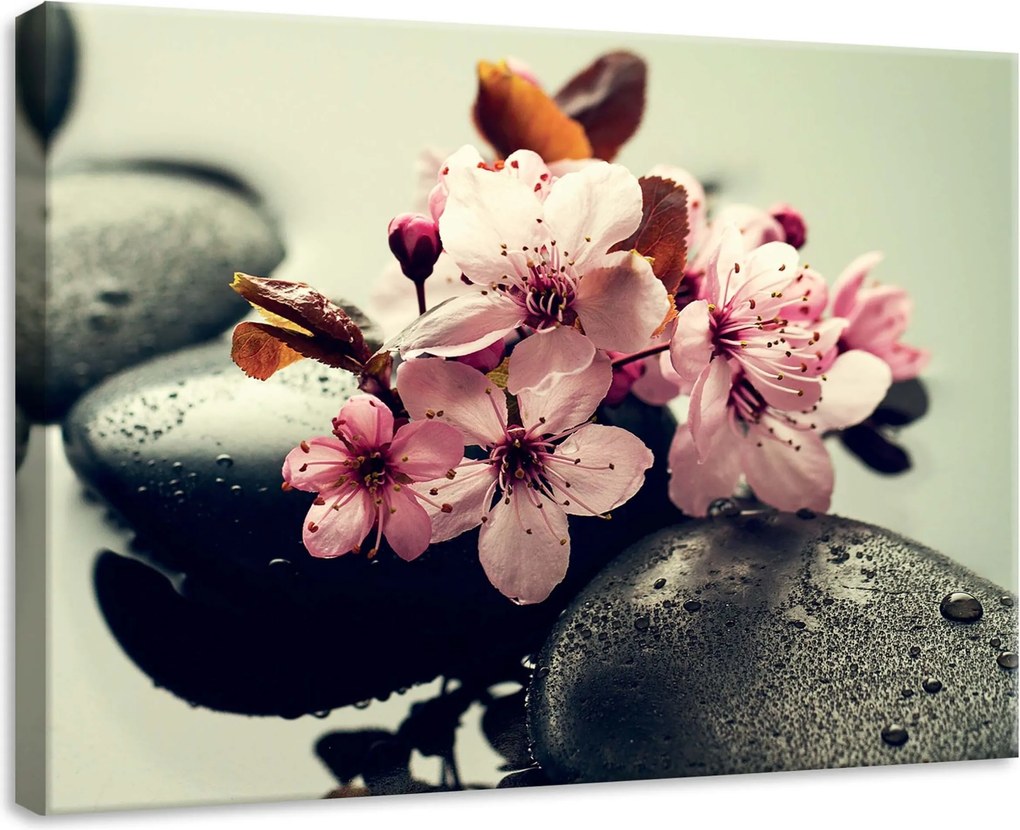 Vászonkép 70x50 Cseresznyevirágok spa kövek vízcseppek nyugalom harmónia