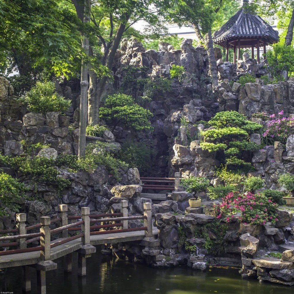 Poszter 40x40cm Yu Garden 2, Assaf Frank