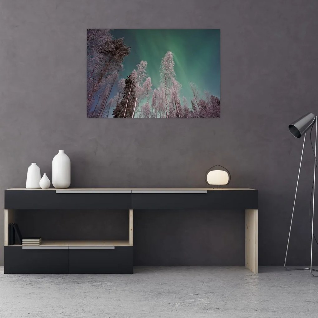 Az aurora borealis képe fagyos fák felett (90x60 cm)