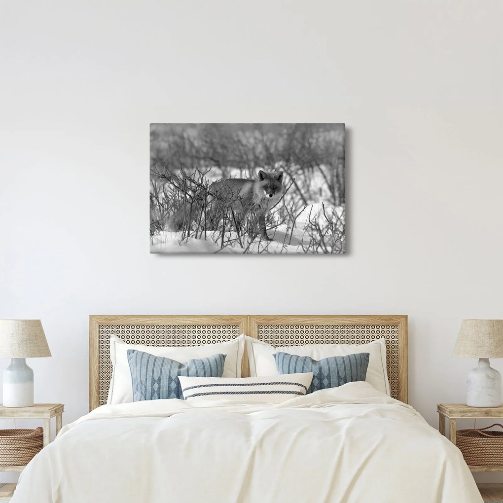 Kép - Róka télen (90x60 cm)