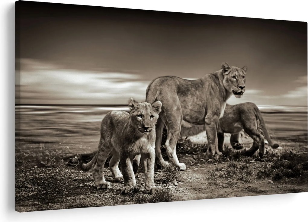 Fekete fehér tigris képe (90x60 cm)