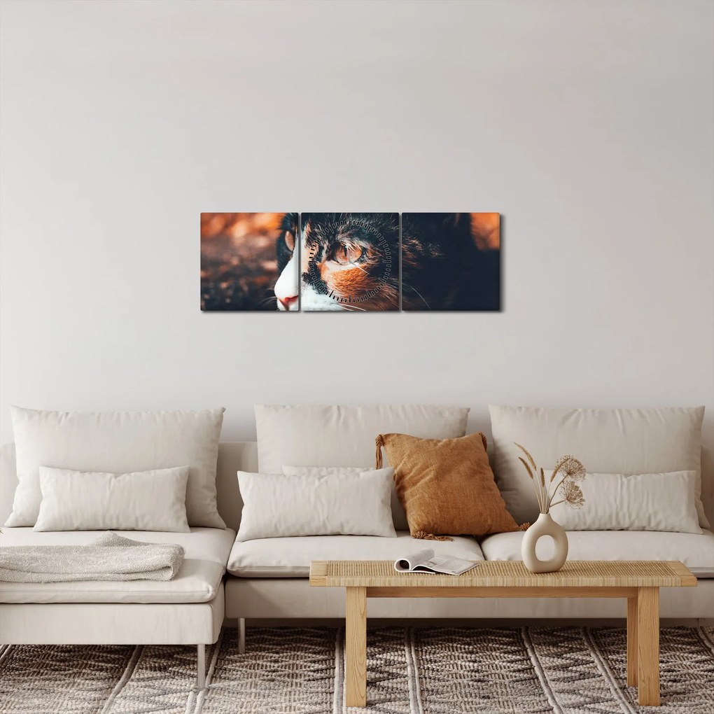 Kép - A macska látképe (órával) (90x30 cm)