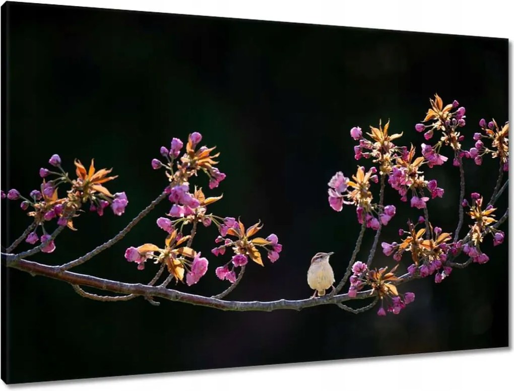 Vászonkép 90x60 Madarak