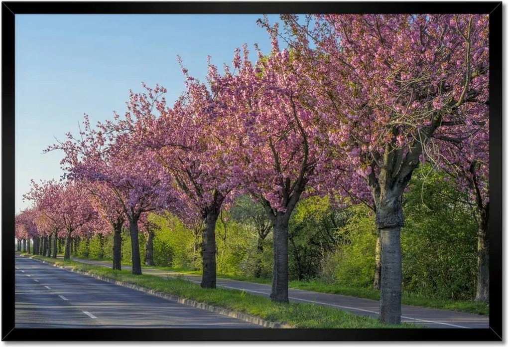 Poszterek keretben 60x40 Fa Kilátás