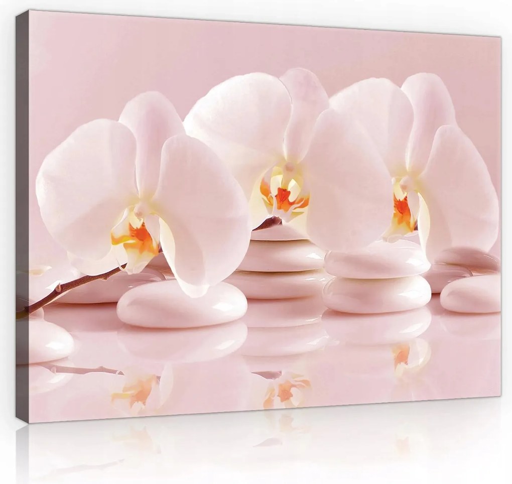 Vászonkép falikép rózsaszín fehér orchidea és spa kövek