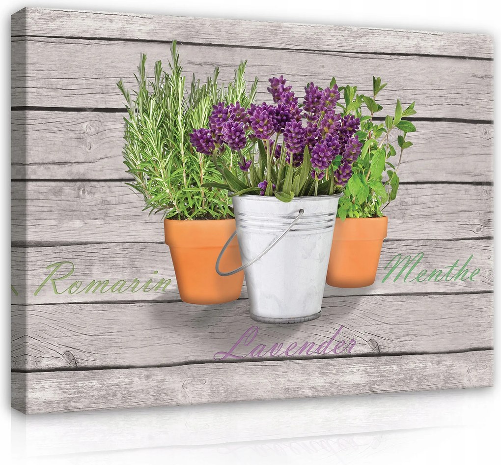 Vászonkép Konyha Gyógynövények Fűszerek Levendula Falikép Modern 100x70