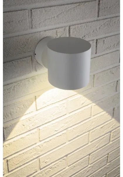 Paulmann 18007 - LED/5W IP44 Kültéri fali lámpa  FLAME 230V