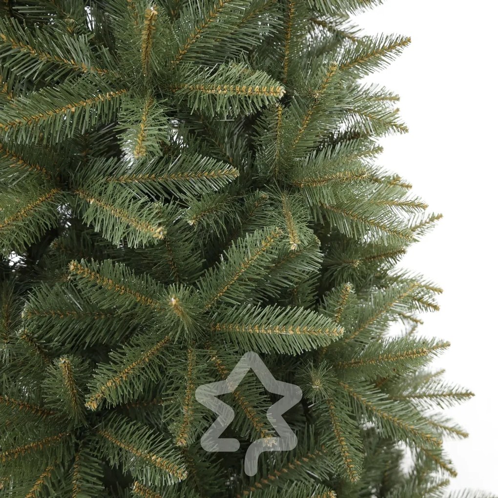Kaukázusi lucfenyő 2D 150 cm
