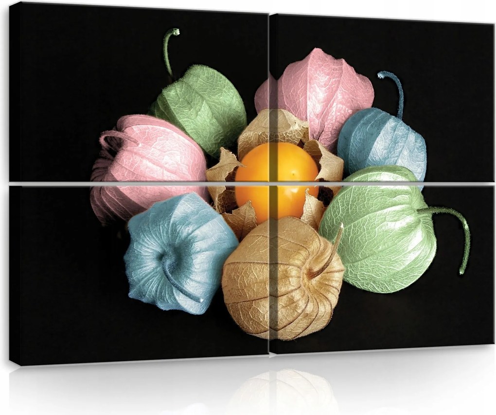 Vászonkép 120x80 Fizalis bogyók színek csendélet modern lakberendezés