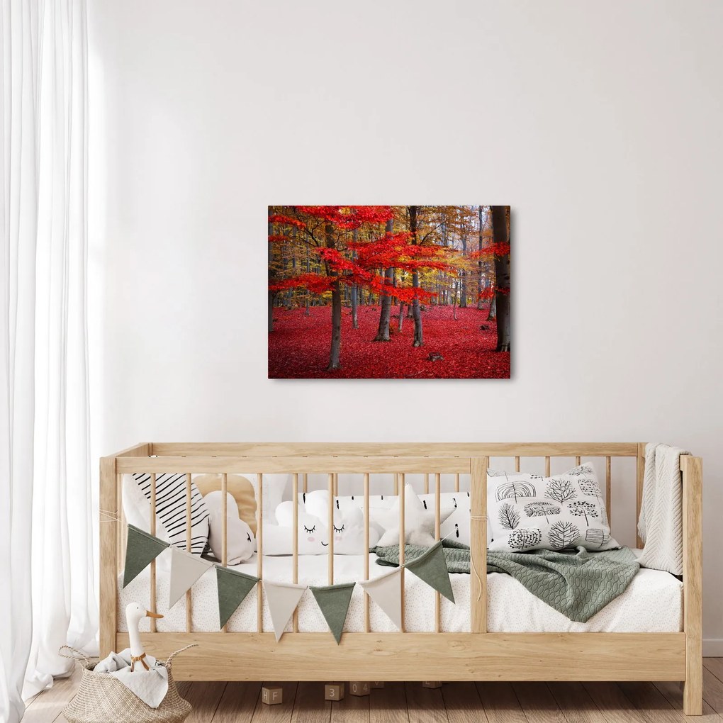 Kép - vörös erdő (70x50 cm)