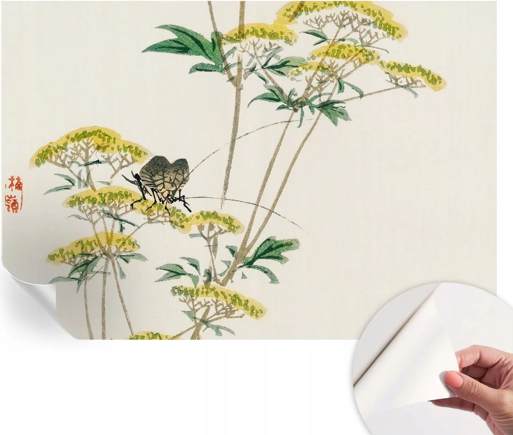 Öntapadós tapéta Divatos 3D fali ragasztó Virágok természet 152x104 cm