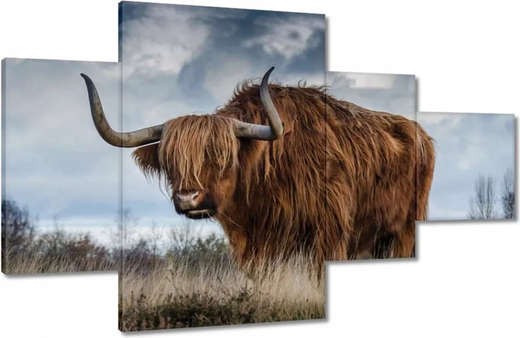 Vászonkép 130x80 Felvidéki tehén