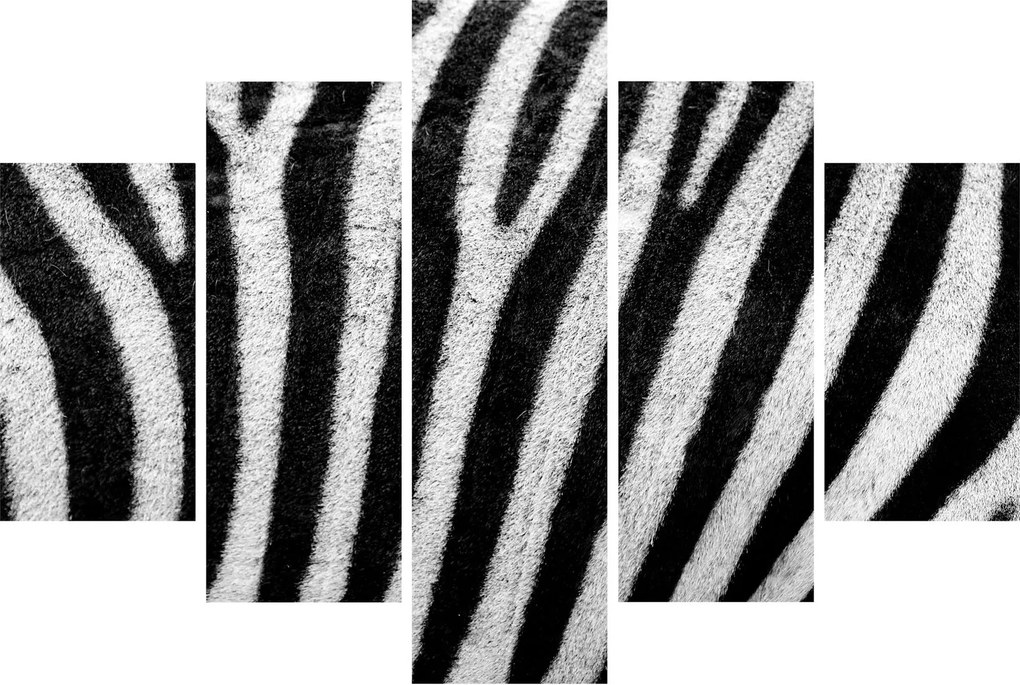 Kép egy zebra bőrről (150x105 cm)