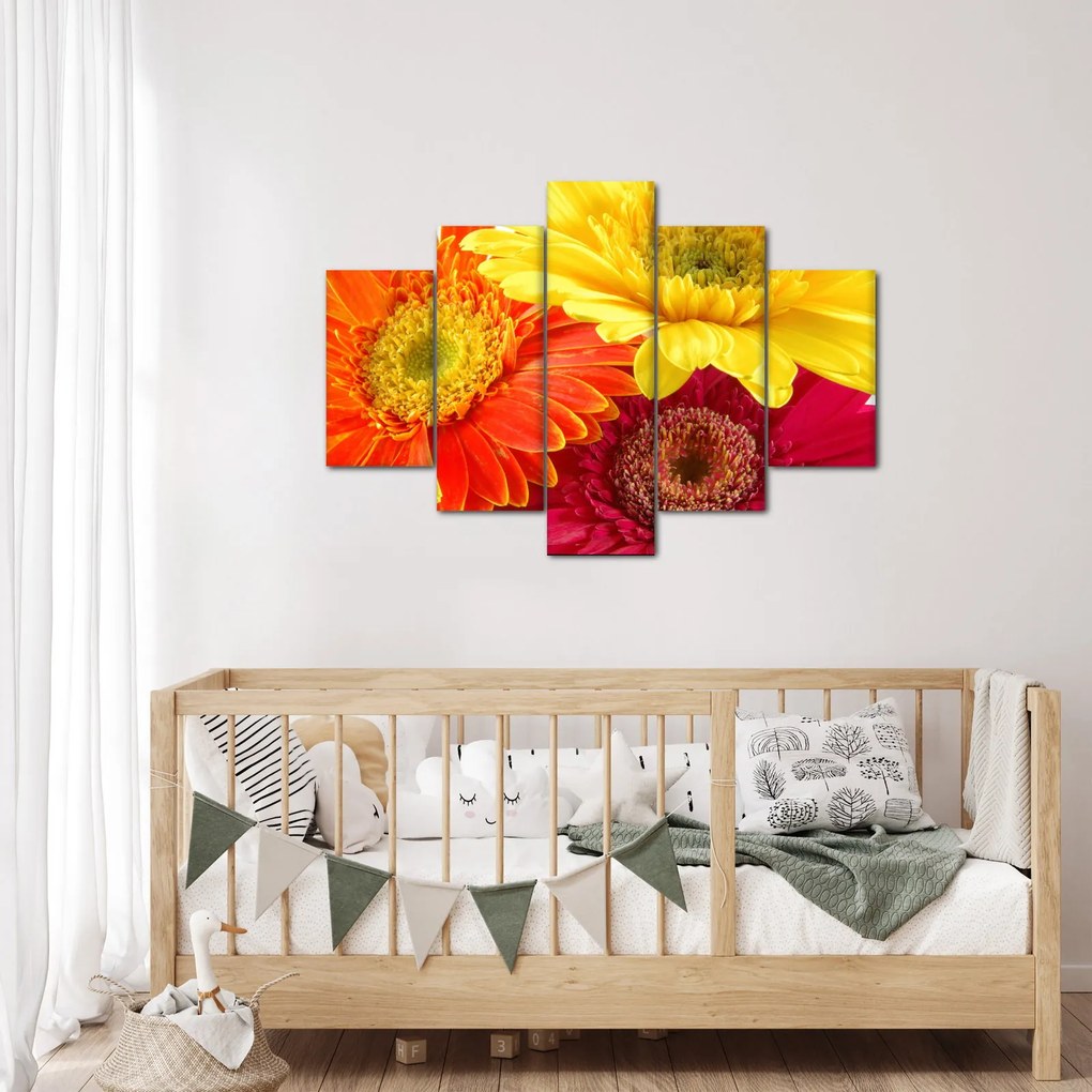 Kép - Virágok Gerbery (150x105 cm)