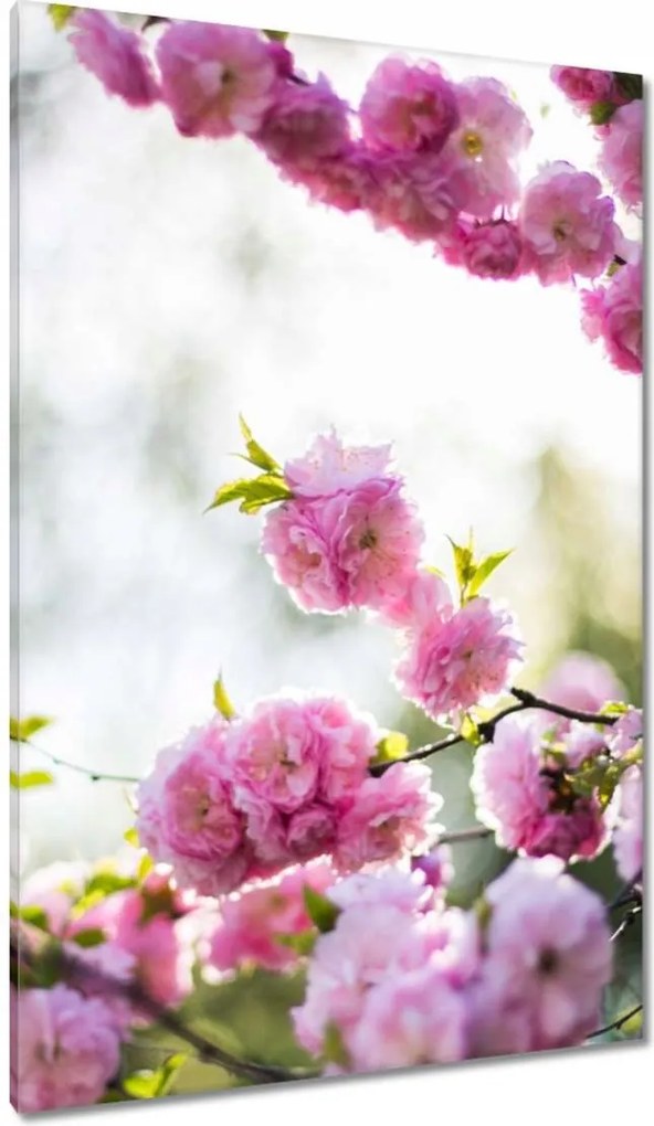 Vászonkép 80x120 Rózsaszín virágok Gyönyörű