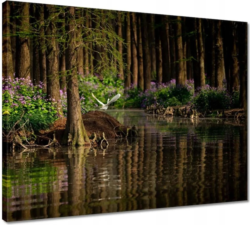 Vászonkép 50x40 Tájkép Látvány