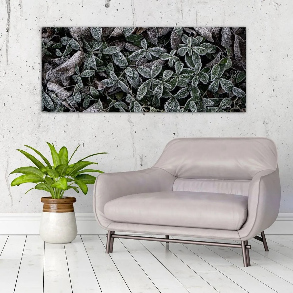 Kép - Fagyasztott növények (120x50 cm)