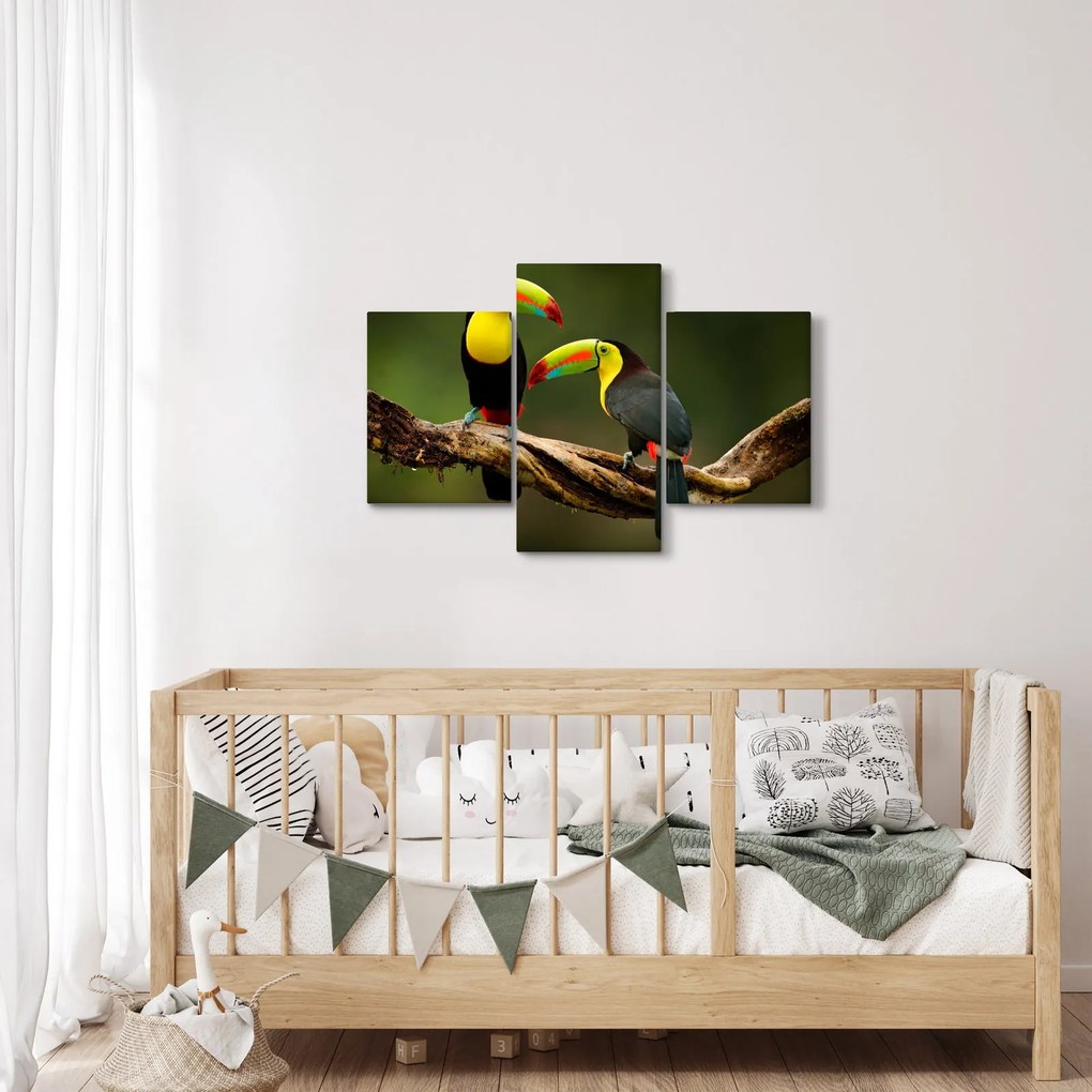 Ülő tukánok képe, Costa Rica (90x60 cm)