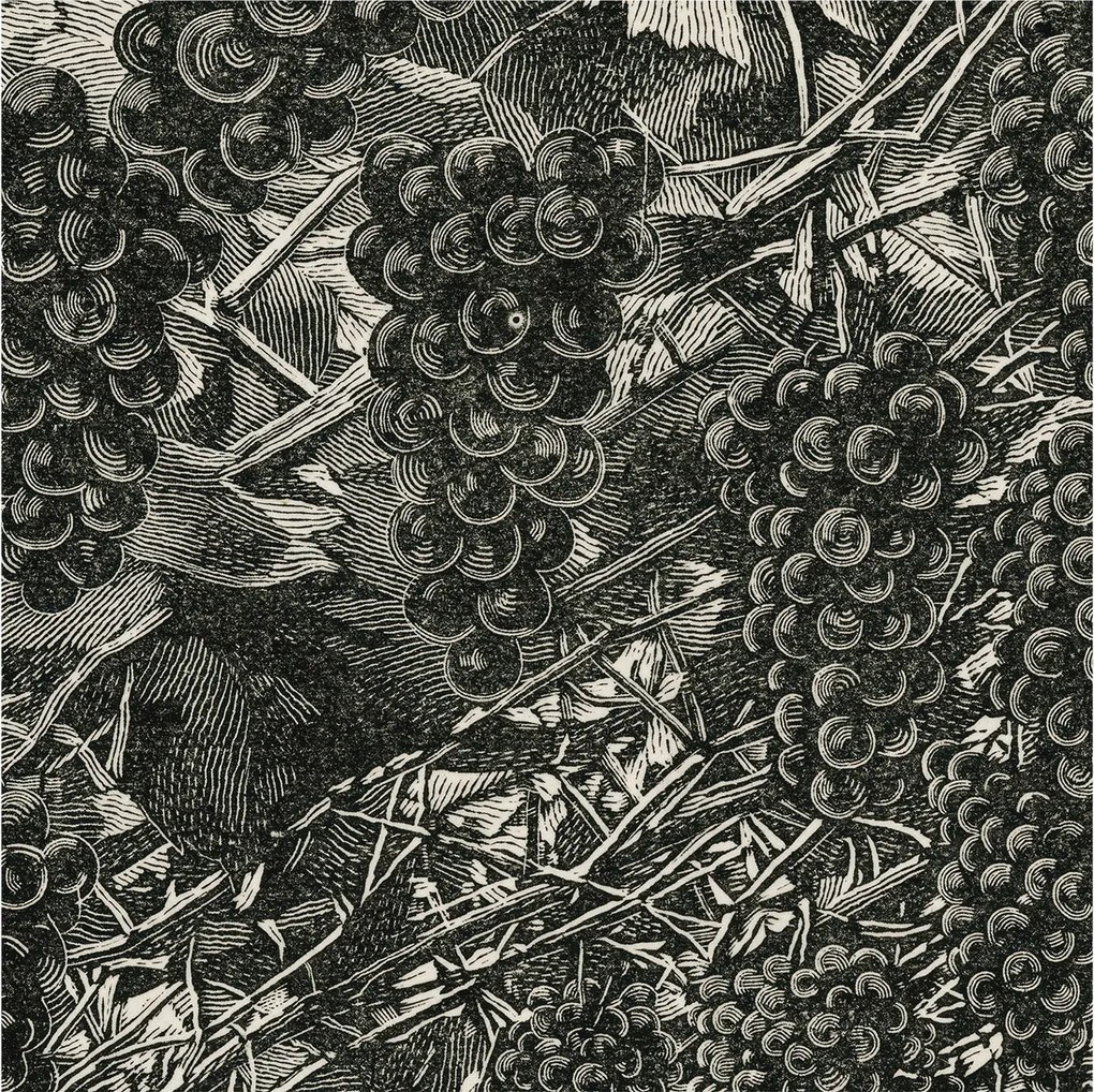 Tapéta Flizelin Falfestmény Prémium Szőlő nyomtatás 250x250 Ragasztó