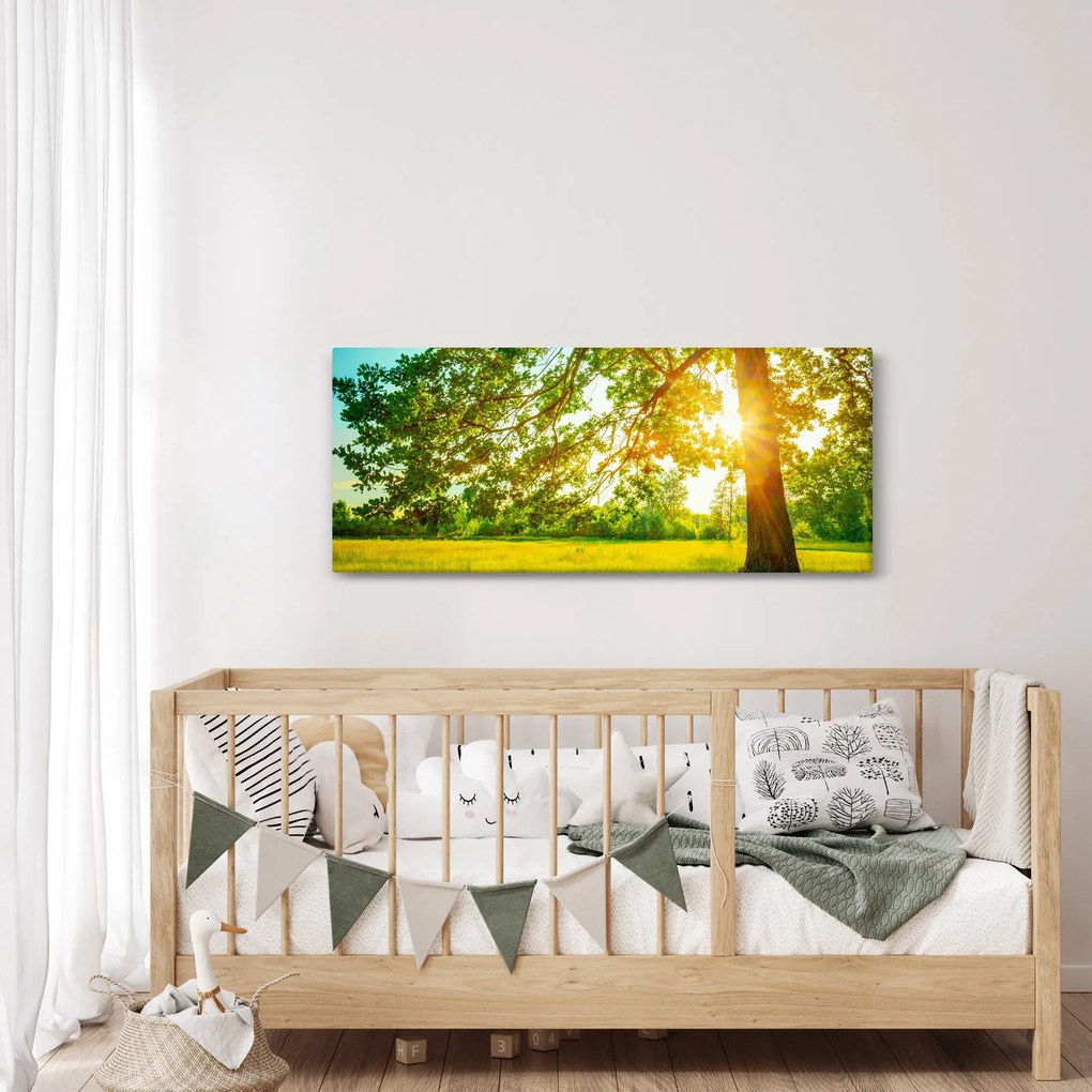 Kép - Sunny Forest (120x50 cm)