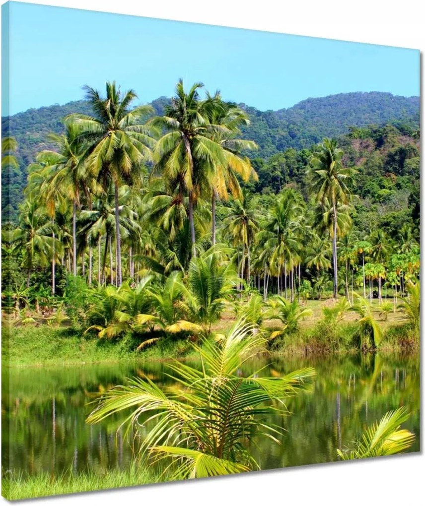 Vászonkép 50x50 Gyönyörű amazon