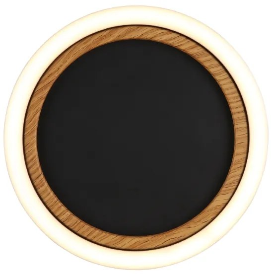 Globo 67356D - LED mennyezeti lámpa DAKARI I LED/12W/230V 3000K átm. 20,5 cm