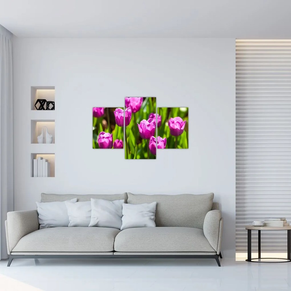 Tulipánok a réten képe (90x60 cm)