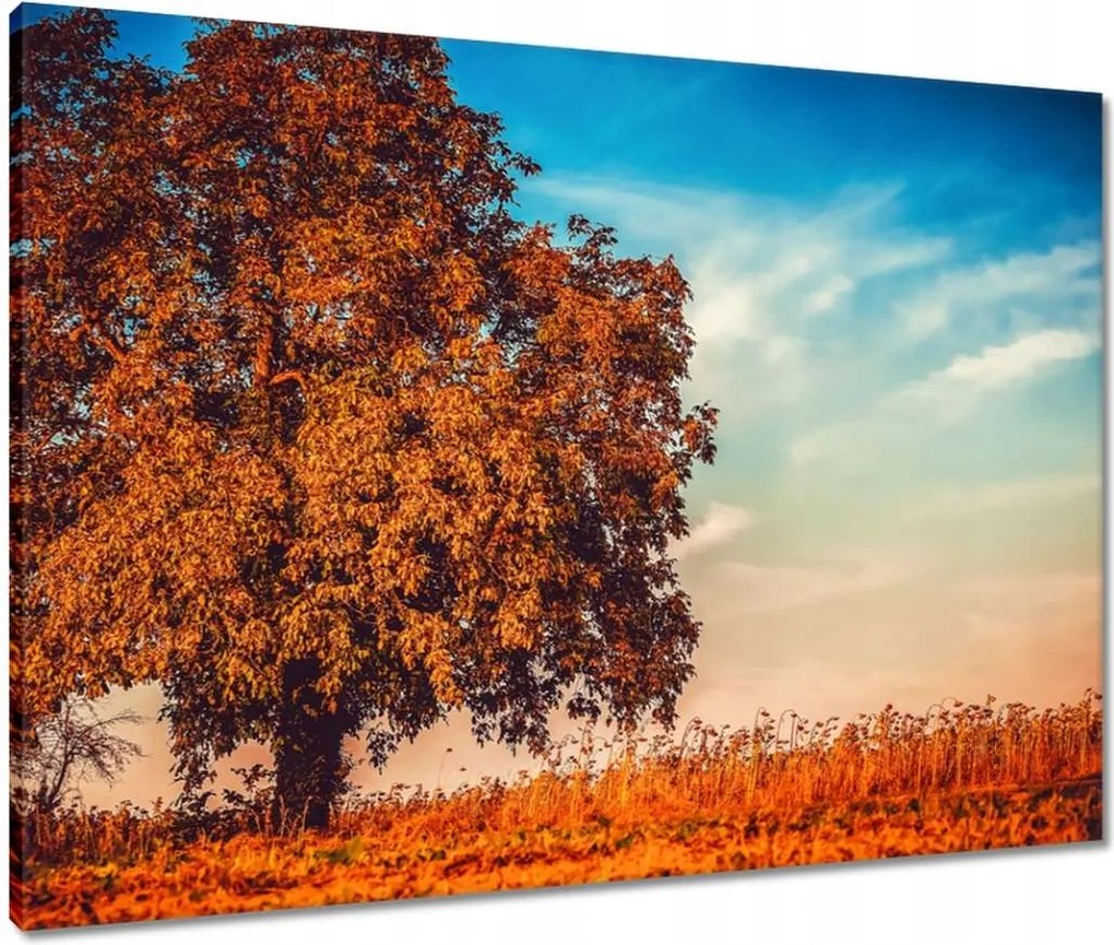 Vászonkép 80x60 Jessiene színek Tájkép