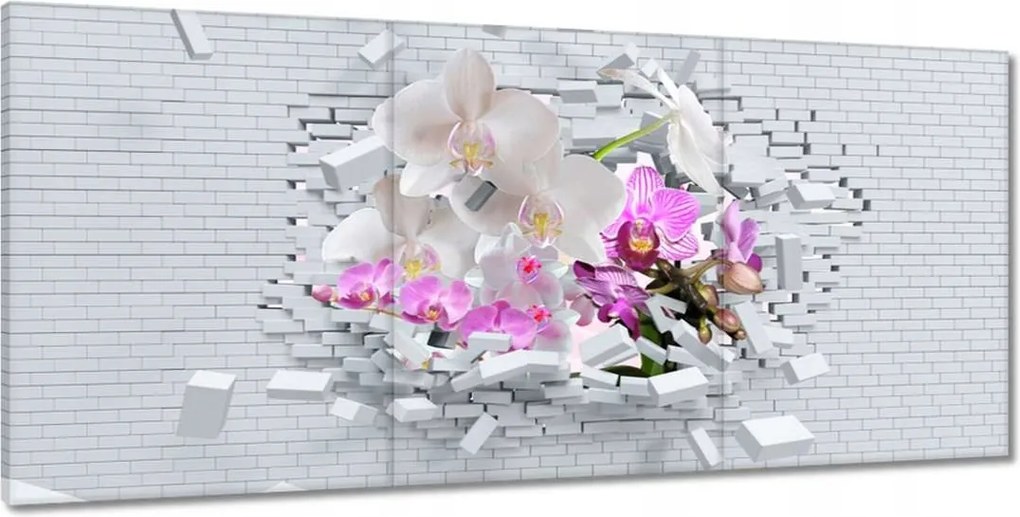 Festmények 210x100 Orchidea a falon Virágok