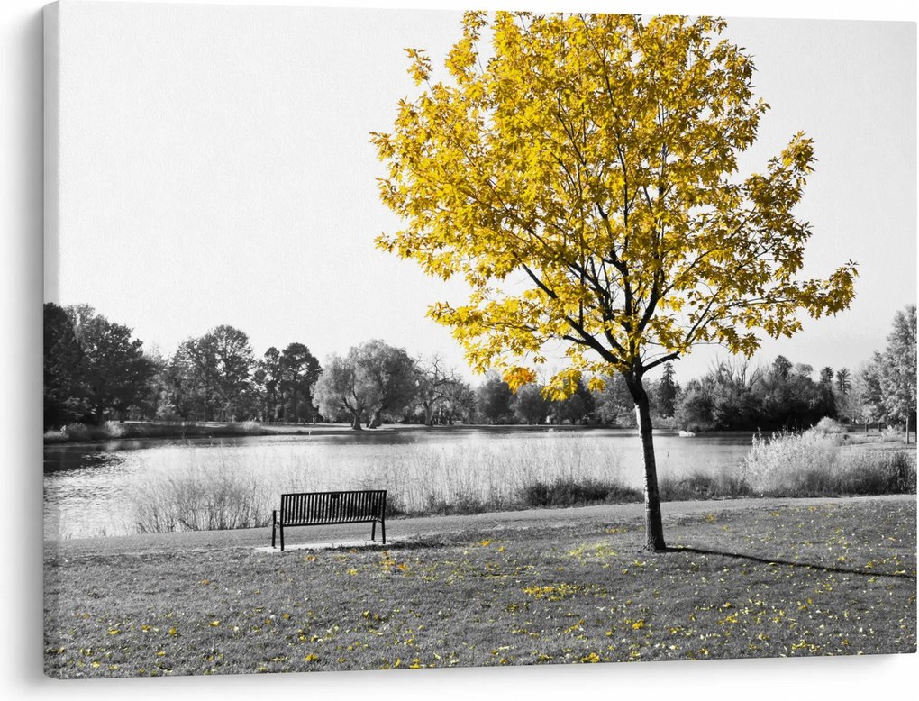 Kép - Pihenés a parkban (70x50 cm)