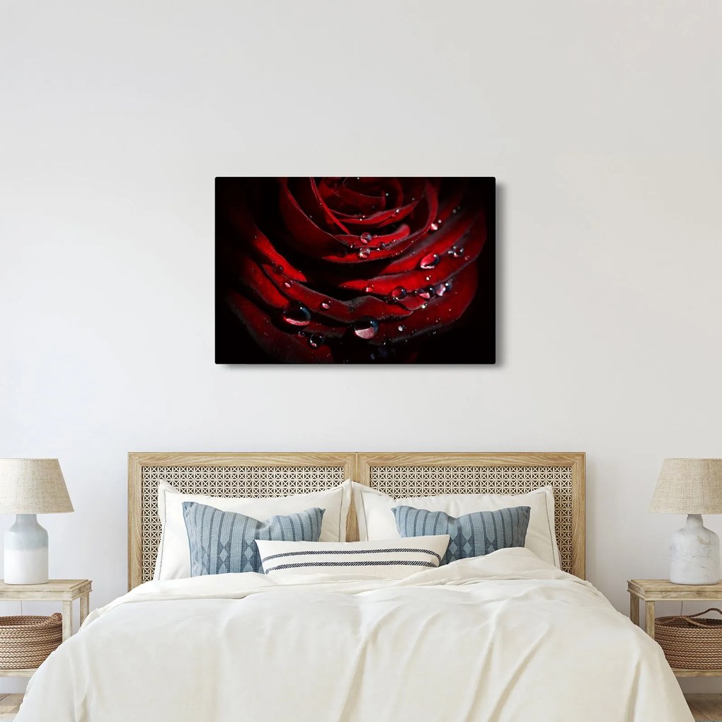 Kép - Rózsa részlete (90x60 cm)