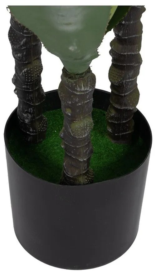 Műnövény (magasság 120 cm) Agave – Ixia