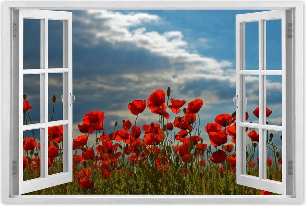 Poszterek 90x60 Pipacs Virágok